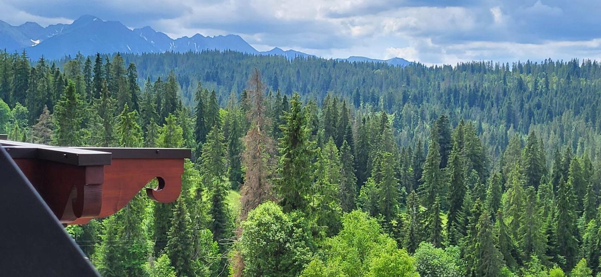 Jedla Miejsce Goscinne Bukowina Tatrzanska Exterior photo